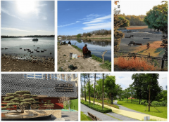 <b>聚焦2026高端养老院长友养老院+幸福保养护理院上</b>